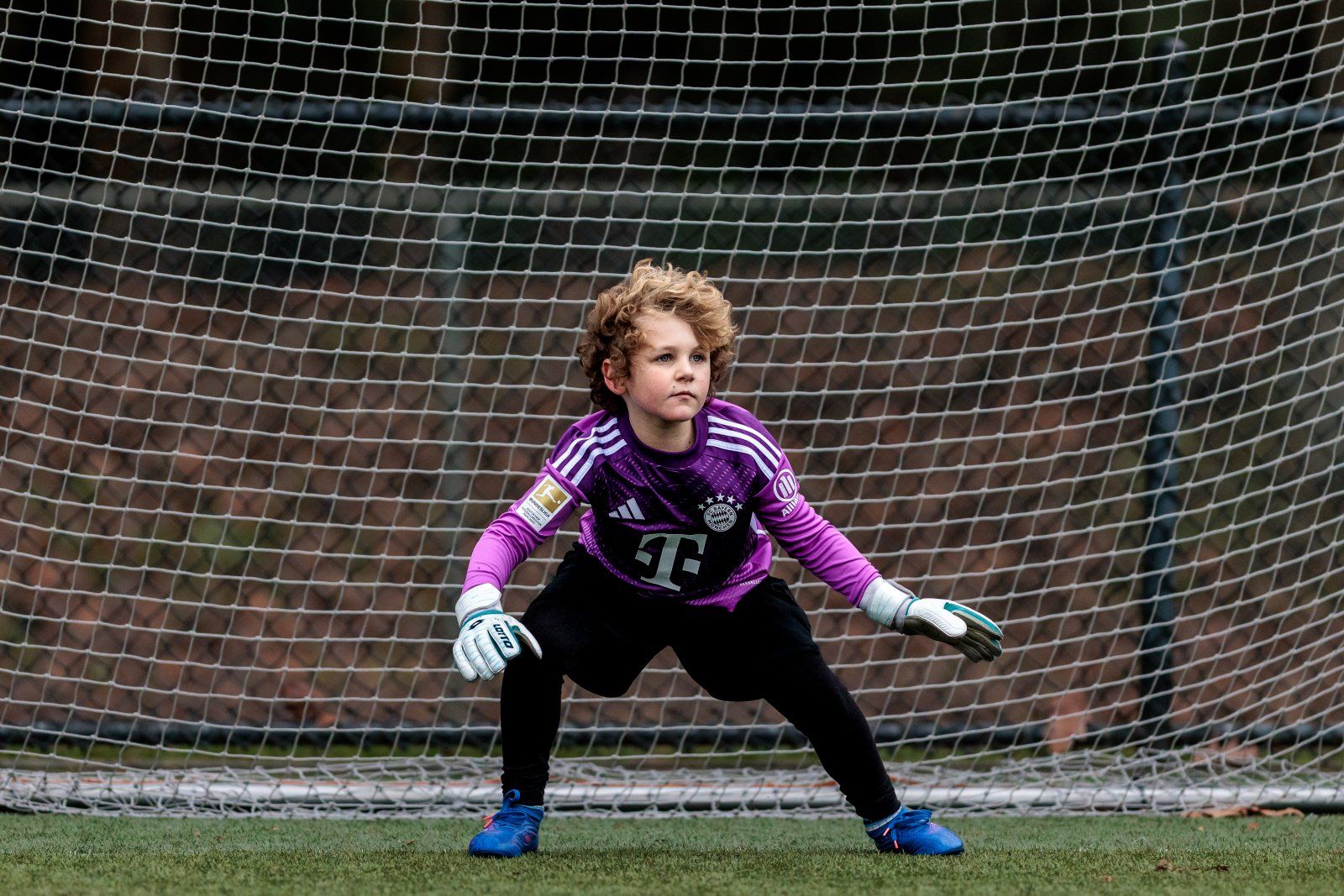 Reid-bayern